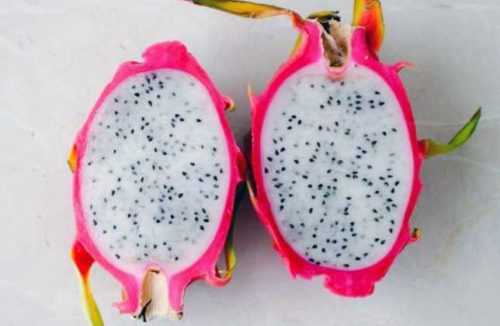 dragonfruit pitaya exotic fruits