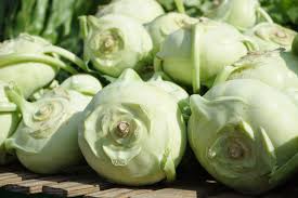 exotic vegetable kohlrabi