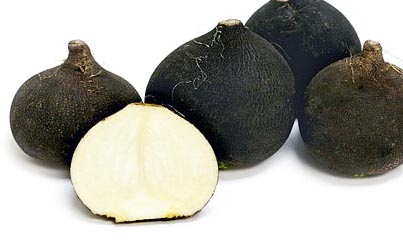 exotic vegetables black radish