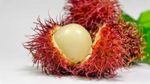 rambutan exotic fruit