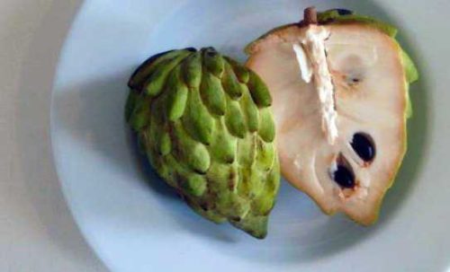 sugar-apple sweetsop atis exotic fruit