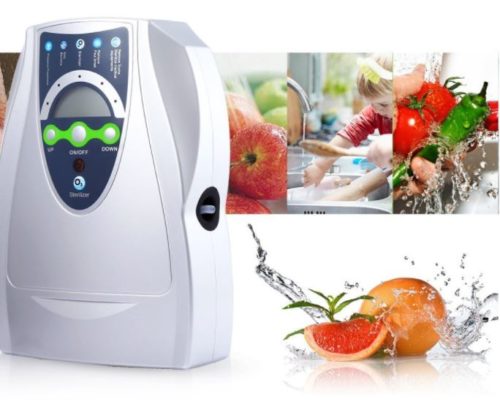 foodie food lover gifts fruit and vegetable sterilizer
