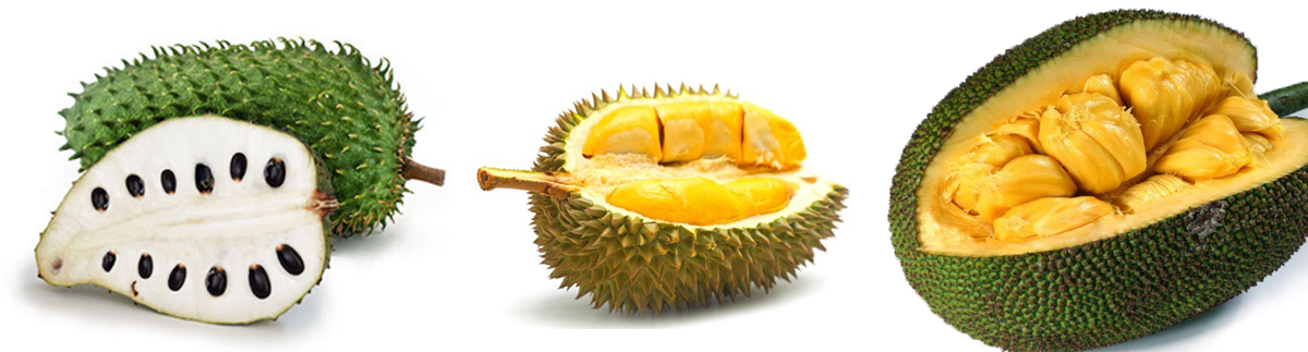 spiky prickly spiny fruits soursop durian jackfruit