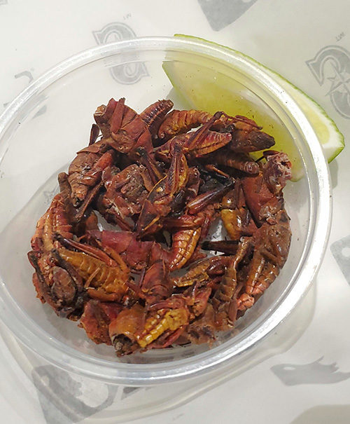 Major League Baseball MLB foods Seattle Mariners toasted grasshoppers