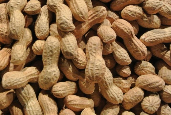 march national peanut month holidays