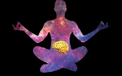 Meditation for Digestion: tap into the mind-gut connection
