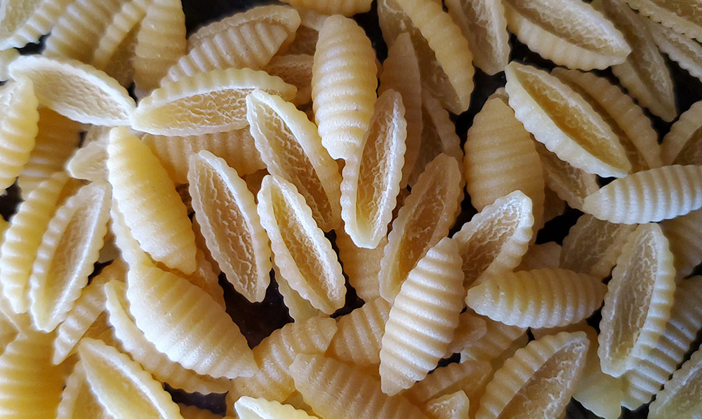 malloreddus shell pasta