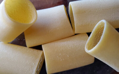 Paccheri: big pasta tubes that capture big flavor