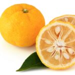 yuzu fruit citrus