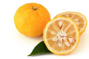 yuzu fruit citrus