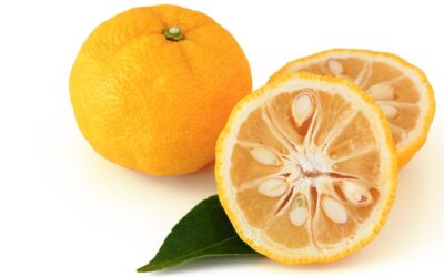 Yuzu Juice: when lemons just won’t cut it