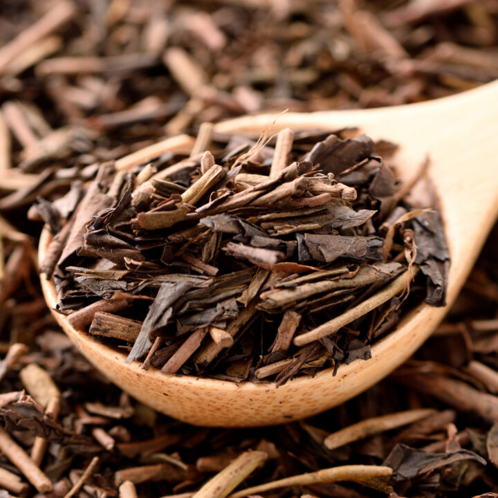 hojicha roasted green tea