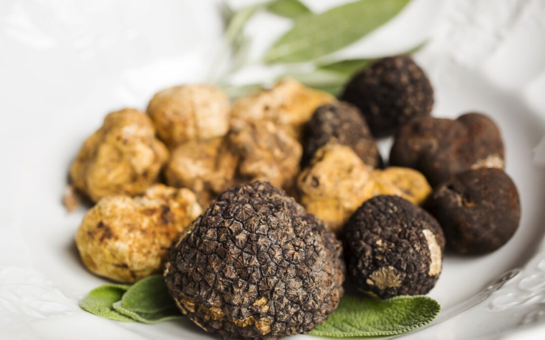 Truffles: a necessity for anyone with expensive taste—literally