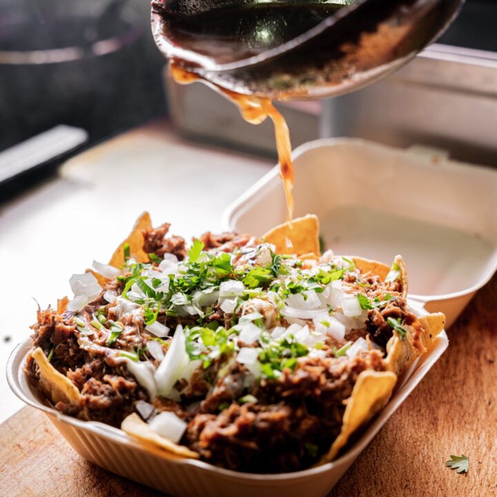 birria nachos